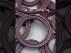 Pneumatic Cylinder Seals