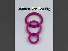 Pneumatic Cylinder Seals