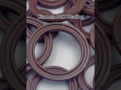 COP/APA Fluorine Rubber Double-acting Cylinder Piston Seal Special O-ring