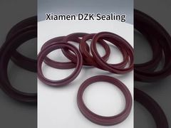 Hydraulic Cylinder Seals