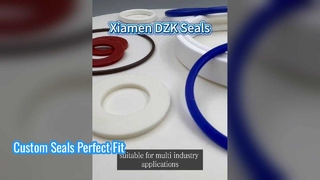 Custom Gaskets & Washers Precision Seals